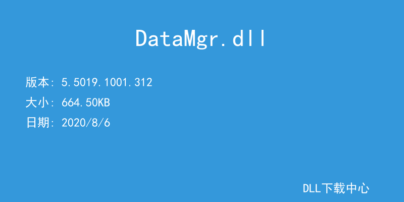 DataMgr.dll